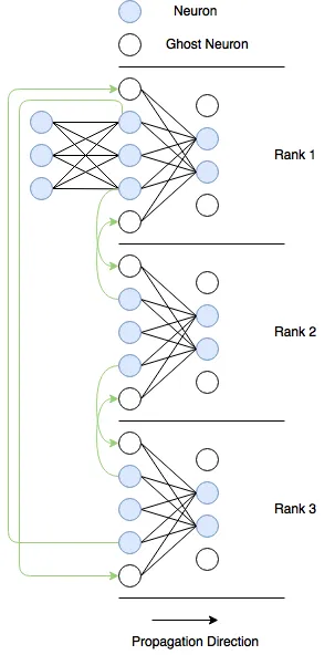 Parallel model representation showing ghost neurons across ranks